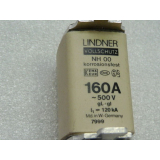 Lindner Vollschutz 160A NH 00 500 V -ungebraucht-