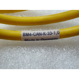 Baumüller BM4-CAN-K-33-1 , 0 Verbindungsleitung
