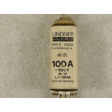 Lindner NH2 8002 100 A Vollschutz 500 V gL - gl 120 ka