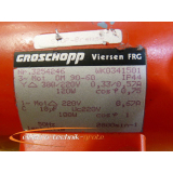 Groschop WK0341501 Geared motor with brake