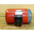 Groschop WK 07014 Geared motor with brake (without gear unit)