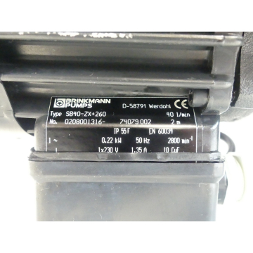 Brinkmann SB40-ZX+260 suction pump SN:0208001316-74079002