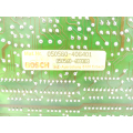 Bosch A24/0,5-e 050560-406401 Output Module E Stand 1