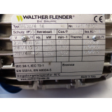 Walter Flender Typ: TN3B/4 14 Motor SN:A49058323