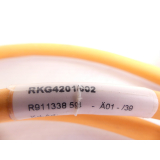 Rexroth RKG4201/002 / R911338594/39- 45W17 Motorkabel Kabel - Länge: 1,95m